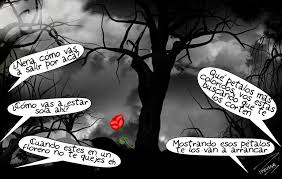 Feliz día de la mujer. Felizdiadelamujer Don Patadon