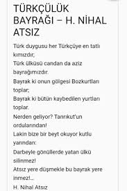 Adli Kullanicinin Bozkurt Panosundaki Pin