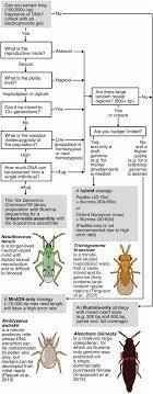 The more variety a landscape has, the more sustainable it is. Next Generation Biological Control The Need For Integrating Genetics And Genomics Leung 2020 Biological Reviews Wiley Online Library