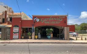 Best fish taco in san jose del cabo, los cabos: Tacos Gardenias Best Fish Tacos In Cabo San Lucas
