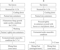 Recent Research Advances And Ethno Botanical History Of