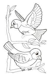 11 incroyable jolie oiseau coloriage gallery desenhos de aves passaros fofos criancas para colorir pepperoni