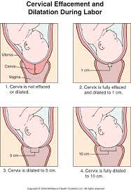 Is there any way to tell how far along i am in the birthing process? Pin On Logan