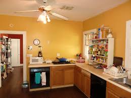 new orleans kitchen 2010.jpg