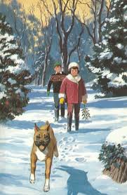 Ladybird Stories Of Our Christmas Customs Decoration Noel Noel Images