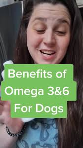 While fish oil can help stop your dog from excessively shedding. There are  so many additional health benefits. #SalmonandPollockOmegas  #hearthealthfordogs #caninewellnesstips #dogmomhacks ...