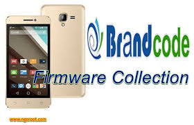 Pin Di Rooted