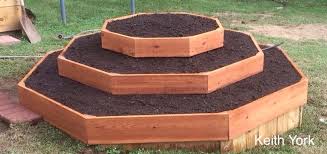 New Strawberry Bed Octagon Shaped Made Of Cedar Sub Surface Irrigation Is Ready Strawberries Will Strawberry Beds Backyard Garden Design Herb Garden Design