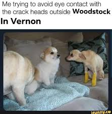 Pin On Ifunny Seventeen Memes