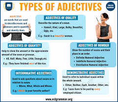 It is an adjective which shows the quantity of the nouns or pronouns in a sentence. Adjectives 5 Types Of Adjectives With Definition Useful Examples Esl Grammar