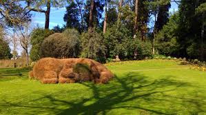 Jardin des plantes travelers' reviews, business hours, introduction, open hours. 5 Bonnes Raisons De Visiter Le Jardin Des Plantes De Nantes