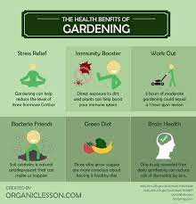 Gardeners need to water their plants, ensure they get the right amount of sunlight, and adjust the environment as necessary. Gardening A Comprehensive Guide From Planning To Harvesting