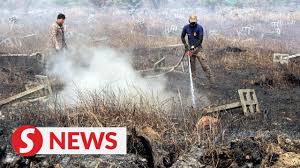 Kuala Langat Selatan forest fire ...