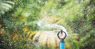 Check spelling or type a new query. How Does A Rotor Sprinkler System Work And Would It Suit Your Garden