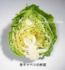 おいしいキャベツの見分け方 選び方 生活知恵袋