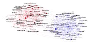 Live Daily Prediction Using Artificial Intelligence