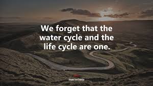 Explore 478 cycle quotes by authors including marilyn manson, martha beck, and noam chomsky at brainyquote. 635097 We Forget That The Water Cycle And The Life Cycle Are One Jacques Yves Cousteau Quote 4k Wallpaper Mocah Hd Wallpapers
