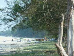 Pantai ini terletak lebih kurang 10 kilometer dari. Beach View Of Pantai Sepat Picture Of Cempaka Beach Resort Kuantan Tripadvisor