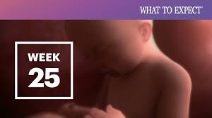 Your age, previous pregnancies, height, build and fitness all affect the way your pregnant tummy looks. 25 Weeks Pregnant What To Expect Your 25th Week Of Pregnancy Youtube