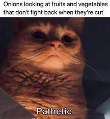 Pin On Memes