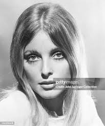 129 John Tate Actor Stock Photos, High-Res Pictures, and Images