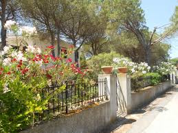 Giardino privato sul davanti circa 70 m. Casa Club Ferienhaus Ferienwohnung La Caletta Posada S Giovanni Sardinien