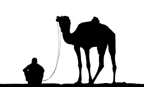 In today's drawing tutorial we are going to draw a man. Camel Man Silhouette Free Stock Photo Public Domain Pictures