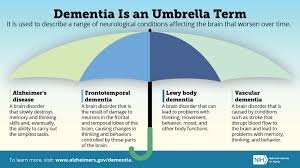 Image result for Behavior Problems in Dementia