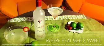 Low Calorie Alcoholic Drinks Low Cal Drinks Skinnygirl