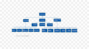 organizational chart text png download 670 500 free