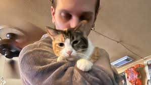 Fundraiser by Ivey Catherine : SURGERY WENT WELL! AFTERCARE VETTING,ITEMS  NEEDED!