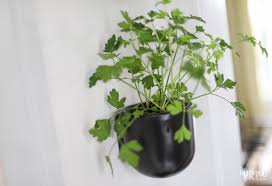 I knew that i wanted it to be a long rectangle that was only as deep as a window sill. How To Create A Modern Kitchen Herb Garden