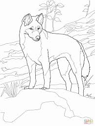 Animals Of Australia Coloring Pages Awesome Dingo From Australia Coloring Page In 2020 Animal Coloring Pages Horse Coloring Pages Dog Coloring Page