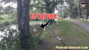 Solution Simple Pour Pecher Du Poisson Quand Ca Mord Pas Peche Du Chevesne A Vue Youtube
