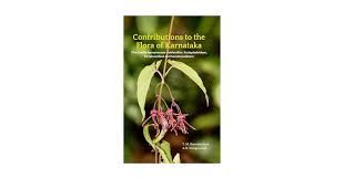 Image result for Apocynaceae subfamily Periplocoideae