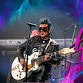 Doves event image