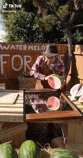 Avec Tik Tok Friends Participer Au Plus Grand Projet Humanitaire Mondial Video In 2020 Zach King Funny Video Memes Funny Vid