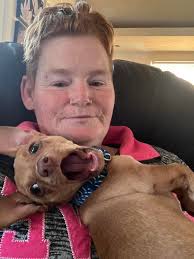 Good morning, chihuahua fans and dog lovers