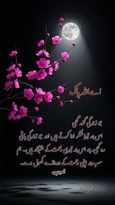 Image result for tbn:fWFGfe7mxNEQKM::www.feamman.com/wallpapers/Img-82755.jpg