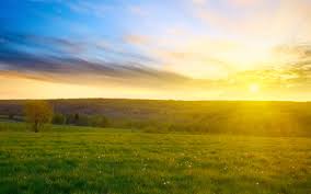 Obituary information for Thomas G Edwards