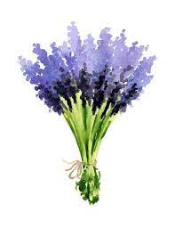 Lavender Art Print Lavender Flower Bouquet Wall Decor Floral Watercolor Painting Watercolora Aquarela Floral Pintura Aquarela Pinturas Simples De Aquarela