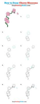 How to draw simple cherry blossoms. How To Draw Cherry Blossoms Really Easy Drawing Tutorial Flower Drawing Tutorials Easy Flower Drawings Flower Drawing