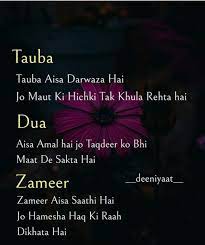 Pin On Islamic Quotes