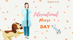 We did not find results for: City Pet Hospital Posts Facebook