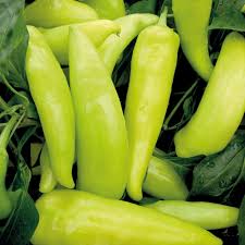 These products are available in distinct packaging to custom fit into your requirements. Pepper Hot Hungarian Hot Wax Organic Gardening Catalogue
