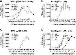 Four simple steps for modelling career don't forget to follow me on. Signaling Of Human Ciliary Neurotrophic Factor Cntf Revisited Journal Of Biological Chemistry