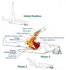 Leg Circle Abdominal Exercises For Spinal And Core Stabilization Part 1 The Health Science Journal Abdominal Exercises Yoga Anatomy Exercise
