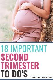 Pin On Pregnancy