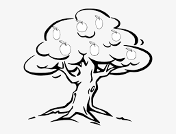 In this section you will find black and white outline aircraft clipart to download. 28 Collection Of Easy Apple Tree Drawing Fruit Tree Clipart Black And White Transparent Png 600x548 Free Download On Nicepng