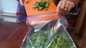 Purchase of the vegetable, cleaning since the spinach has been seared, it will need less cooking time than fresh spinach. Storage Tips To Make Fresh Spinach Last Longer Youtube